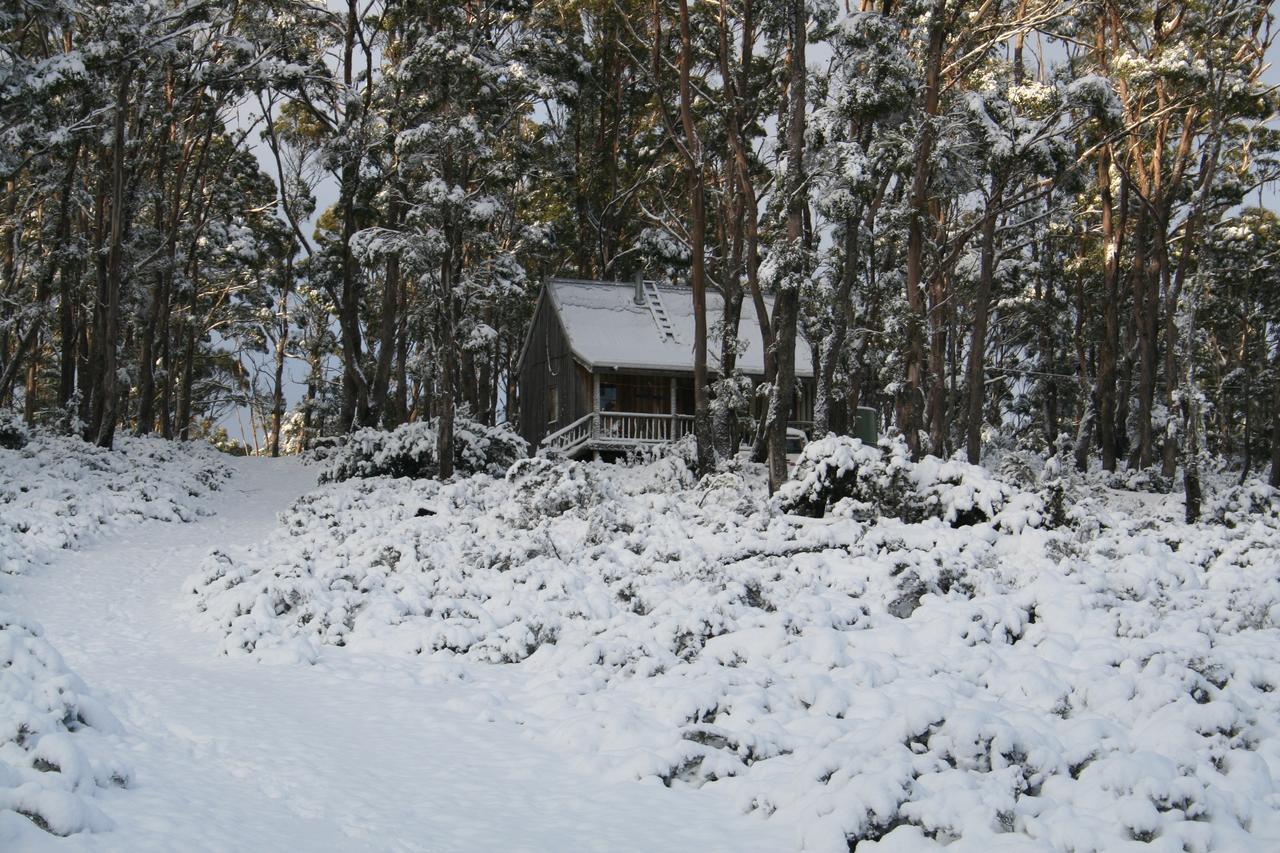 Wombat Cabin Villa Moina Екстериор снимка